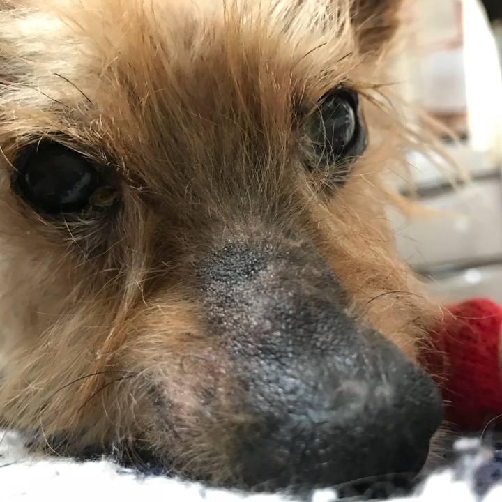 Edf8bf0c eb5b 4180 a55a 5210421b28eb 1523664585638