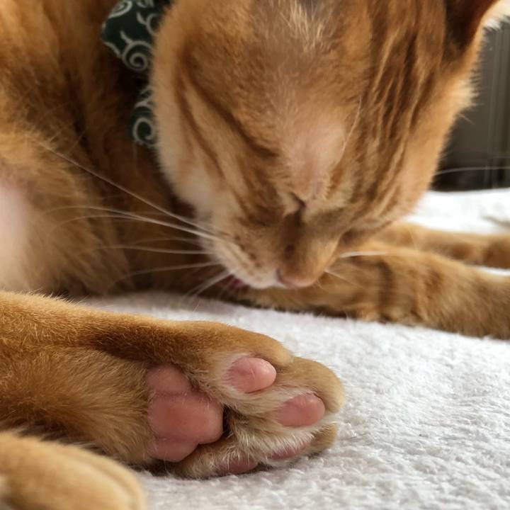 Edf8d660 7f9d 478f 86a3 ed939e20b0d2 1577839137410