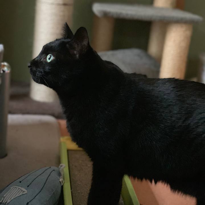 Edf8e3c3 492a 45e7 8fcd 8ef4ccfa8b73 1553907234640