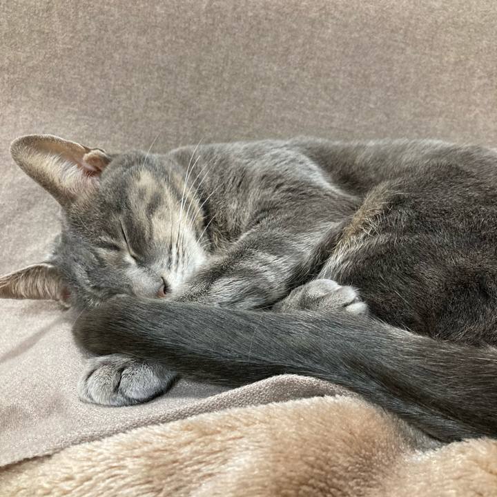 Edf93d4d 359f 47db b63d 604631215c4d 1609424634601