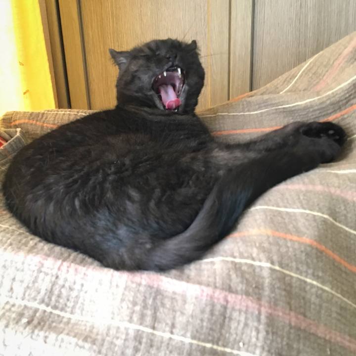 Edf93f48 48ff 438e 8009 428f4d736fef 1535791567827