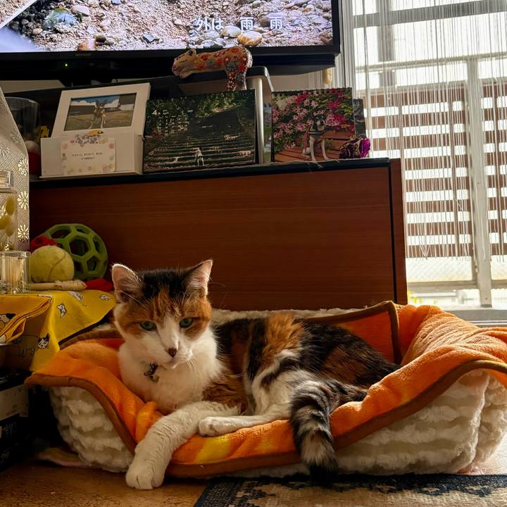 Edf99049 2e91 4957 8311 dc32c012ad4f 1713826591688