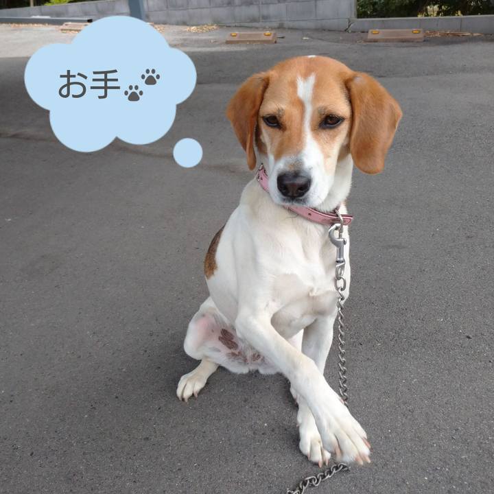 Edf9b74f d01b 4833 9330 be1cb8480cea 1592195578812