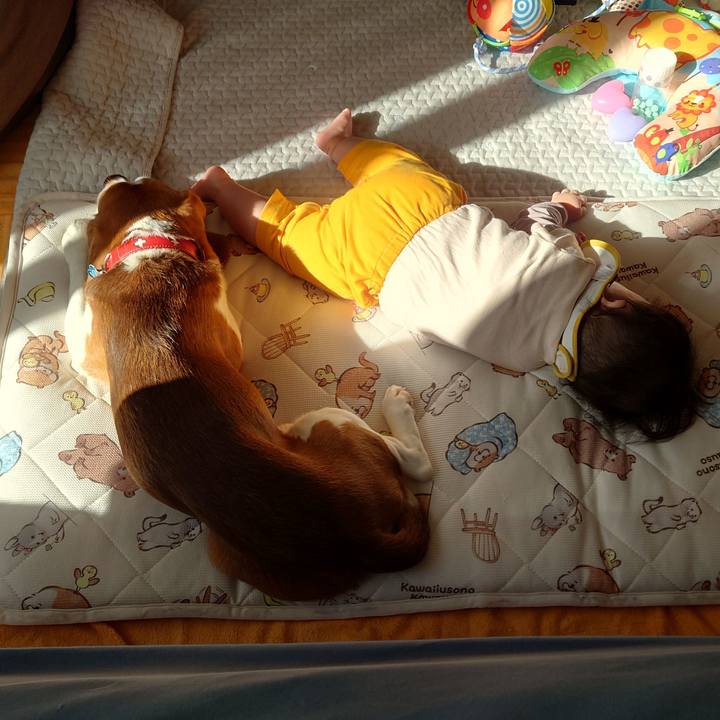 Edf9c5a8 7db3 4ac4 99f7 61894072b4a8 1668127116145