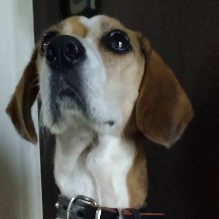 Edfa1ec9 346d 4bdf bfb1 0947b1640990 1663214523087