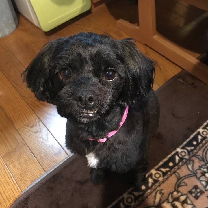 Edfa1f1e 9f13 4c5e 93d2 da73a96b03fa 1522154388678