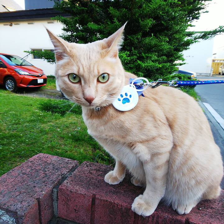 Edfa257f cdfe 4d9f 86de 3e2d224c254f 1623492644755