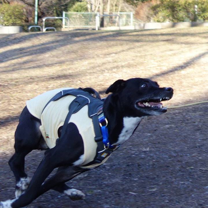 Edfa332e 4e33 4c2d b30d 52f5655ab9bd 1645059010227