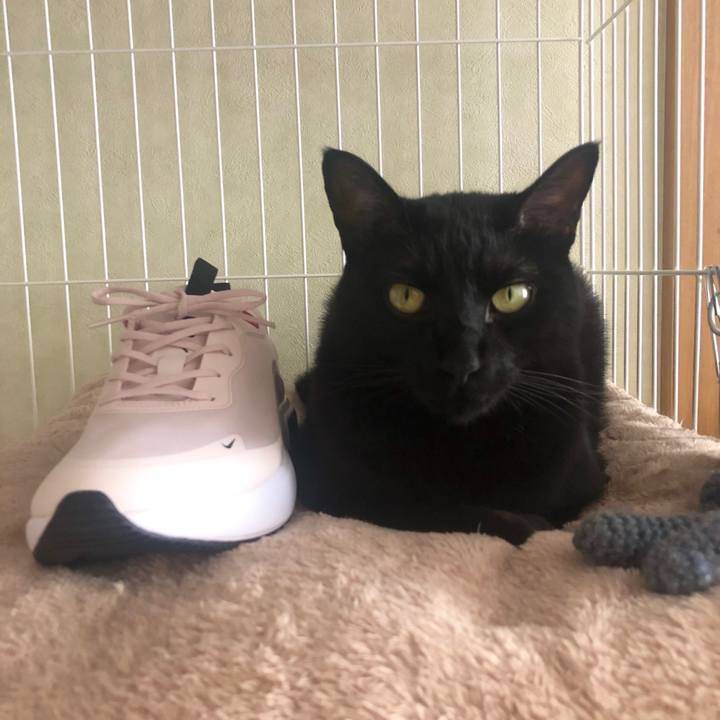 Edfa4d2d 8235 48eb 84fa 3e352671919a 1590303270657