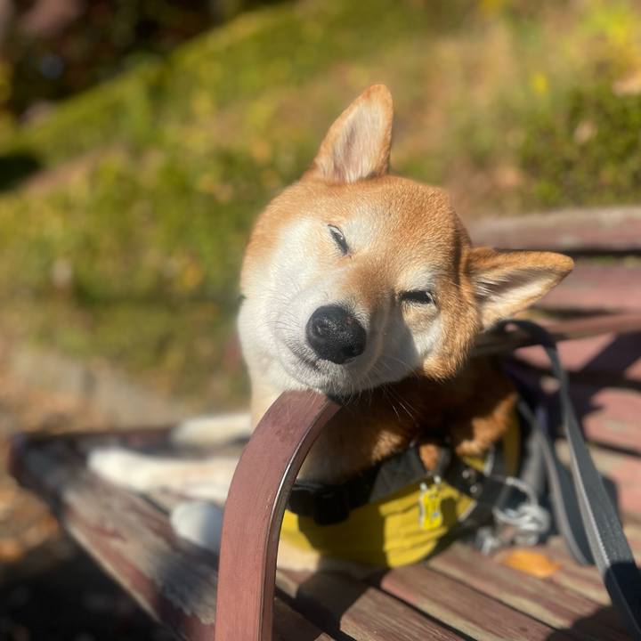 Edfa50d2 a639 4475 acf0 7c9313fe3daa 1764855536883