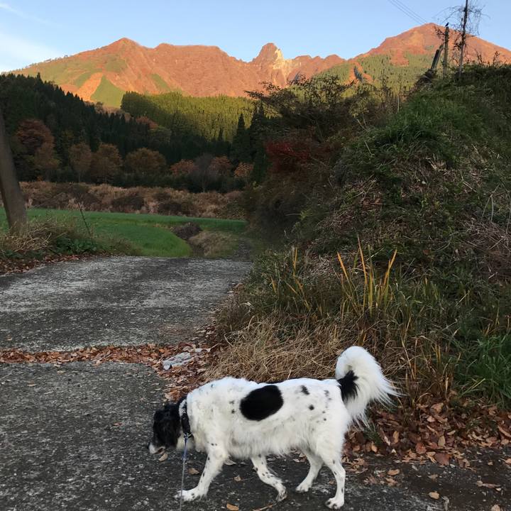 Edfa762d 3148 4e57 a596 16294f14529f 1541597008694