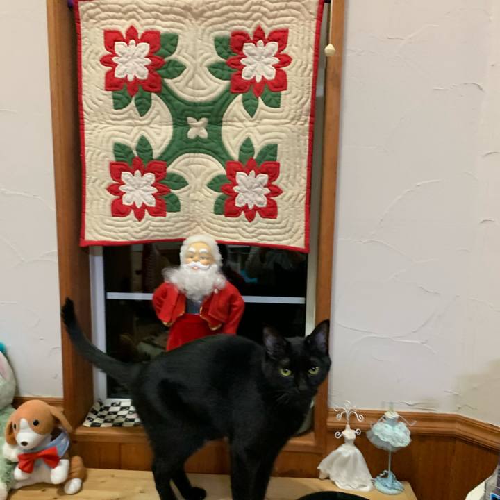 Edfaaf7f 44bc 4aaa 9c3d b550e9546c72 1576070305974