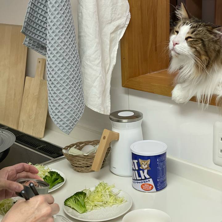 Edfad84c feaa 4961 a377 1ba244dc0e4f 1686344806765