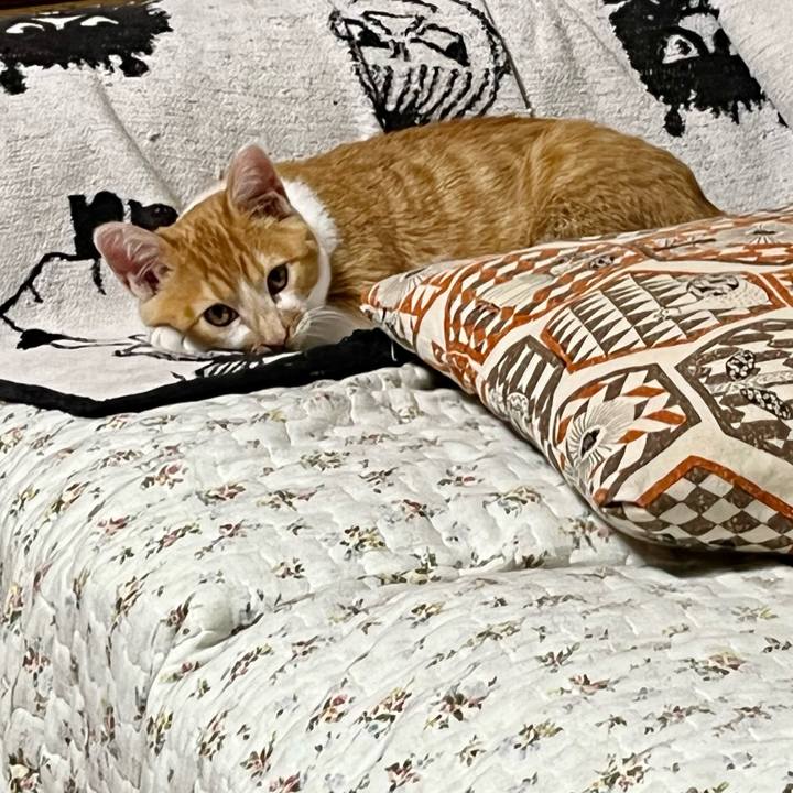 Edfb1540 ef4d 46b4 a7c9 b6076e7e64e7 1665087209338