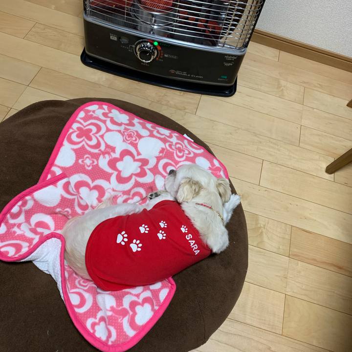 Edfb1f15 ec08 4aca ad41 7870d43923f4 1579174983019