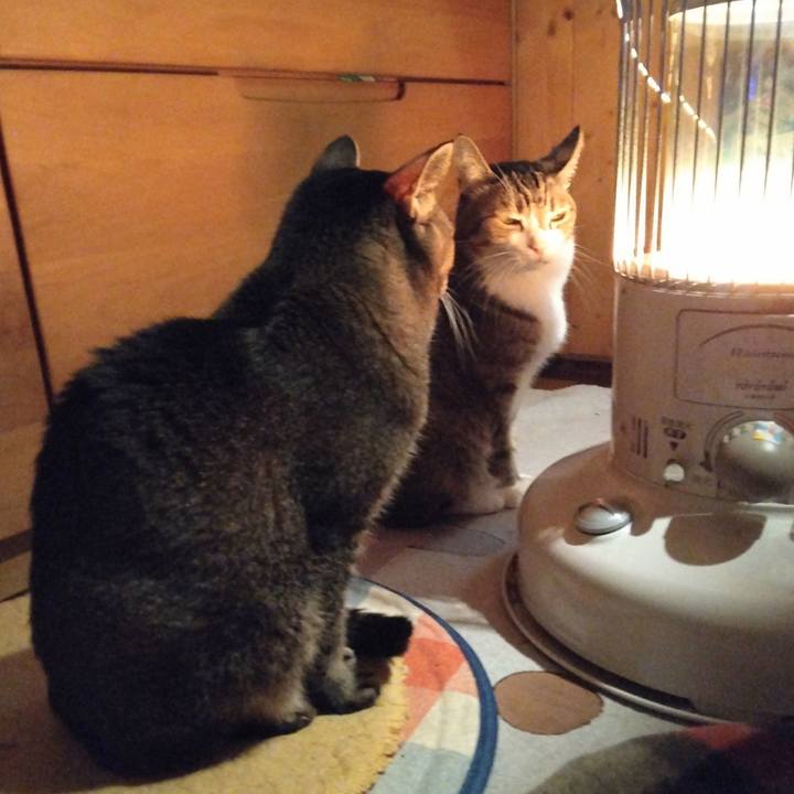 Edfb427e dd1b 4834 92eb ea2b4f345b4b 1701860682515