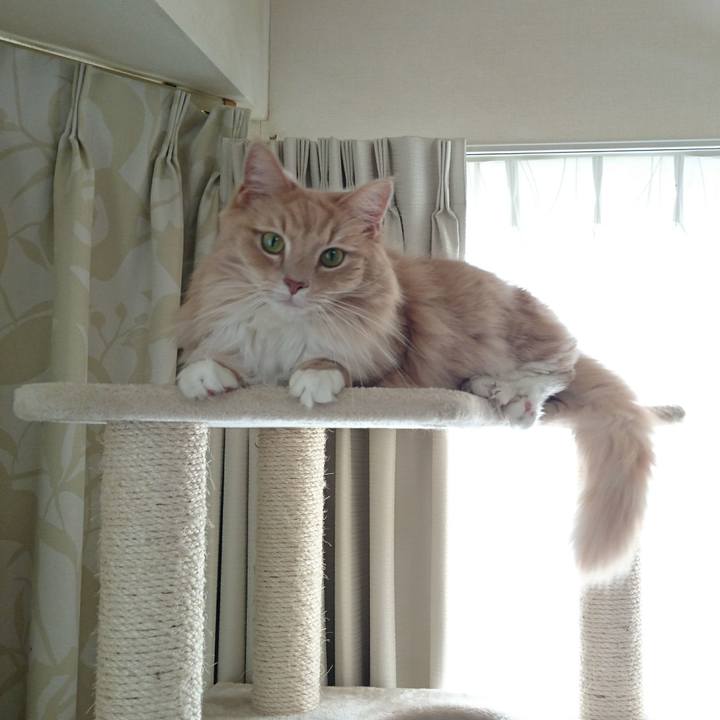 Edfb5951 81f4 4ef4 b230 6230edc4d9c3 1513821286497