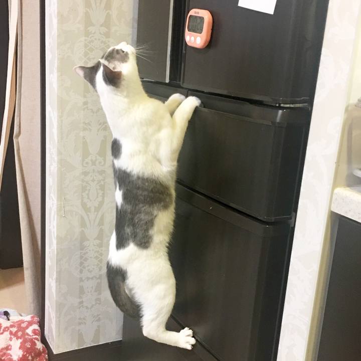 Edfb7c84 8b30 4f4f 8c92 3118607ae50c 1518766929316