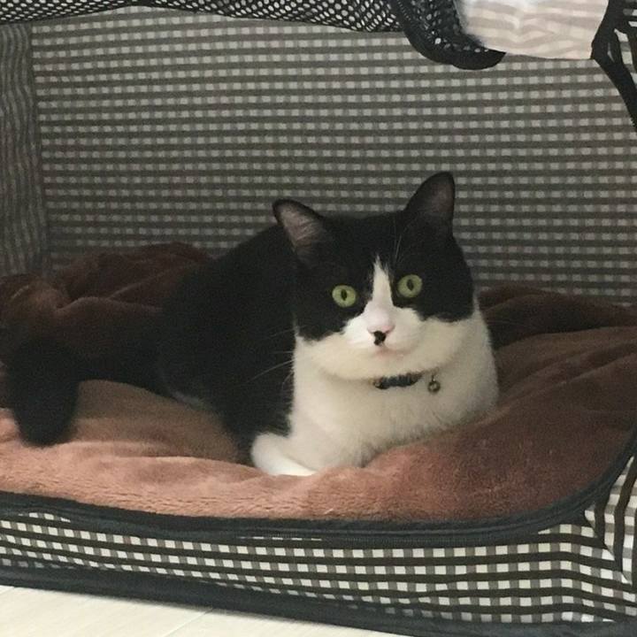 Edfb83f9 4985 47ea a8b4 f57fe2fafe44 1539820247508