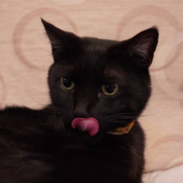 Edfb843b d80a 4c5a 8a2b 014f6495398d 1609508135914