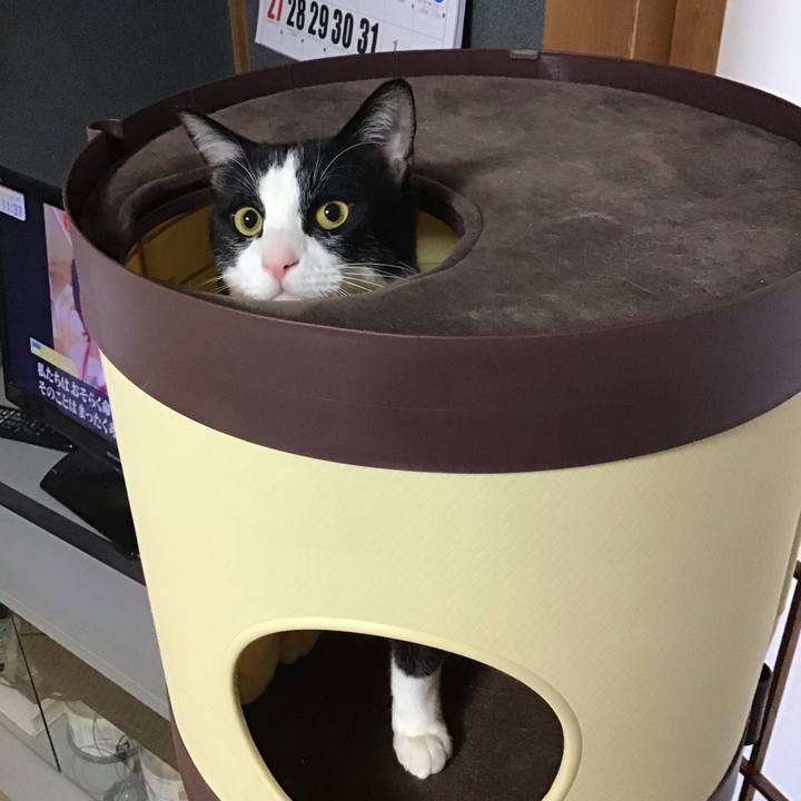 Edfb86e4 4d7a 49f2 b07f b186b8ef7eea 1647922413292