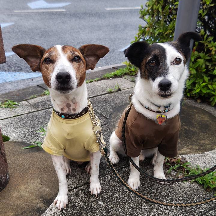 Edfbb057 52ff 4f33 b840 802f3f4e140b 1749945325250