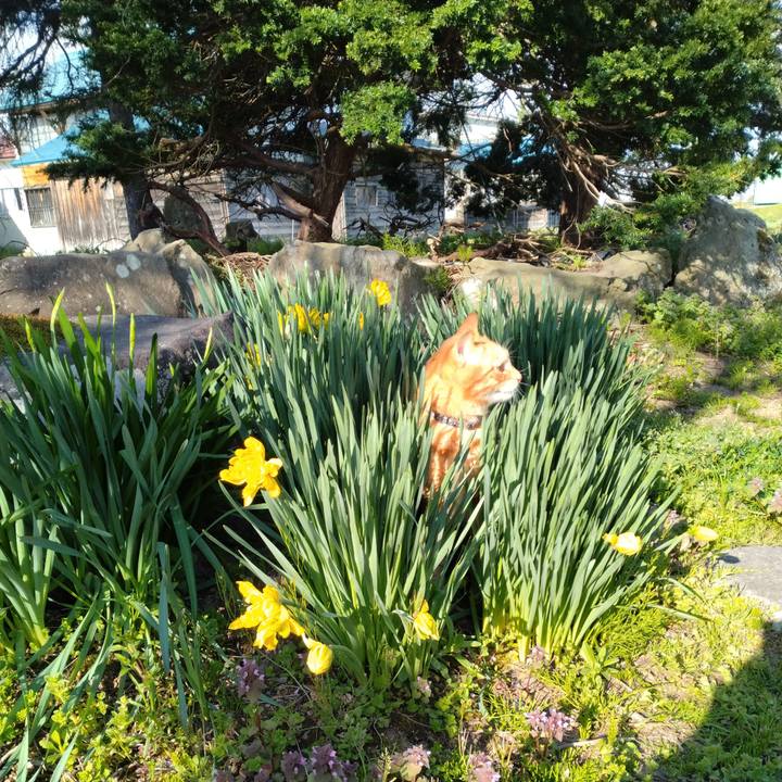 Edfbb857 4020 4530 916e 1628731f5457 1682202035822