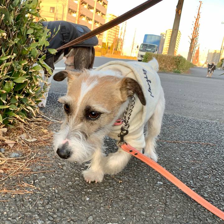 Edfbcb94 8ebf 4ef4 9ac9 c8f20b10193e 1614508826657