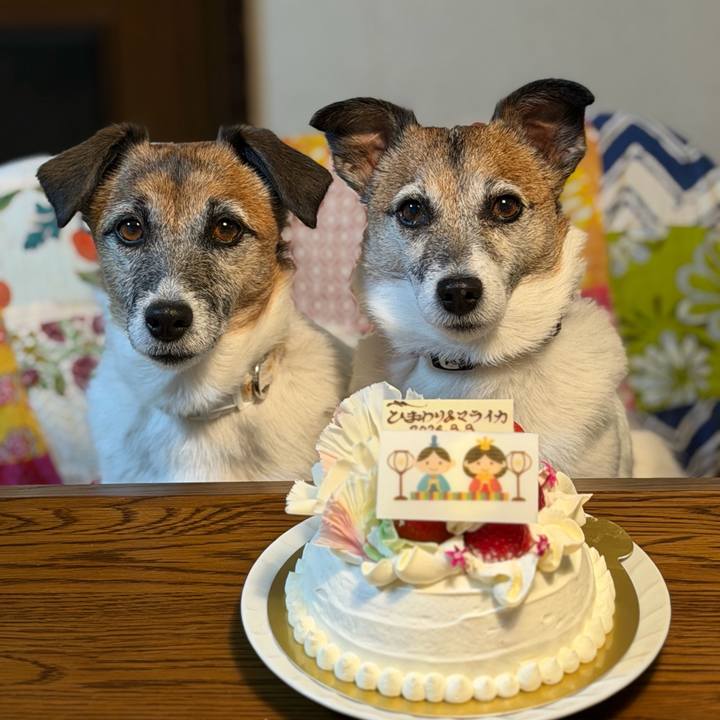 Edfbec51 b1e3 4ea2 b7dc a222d8a89416 1772538498189