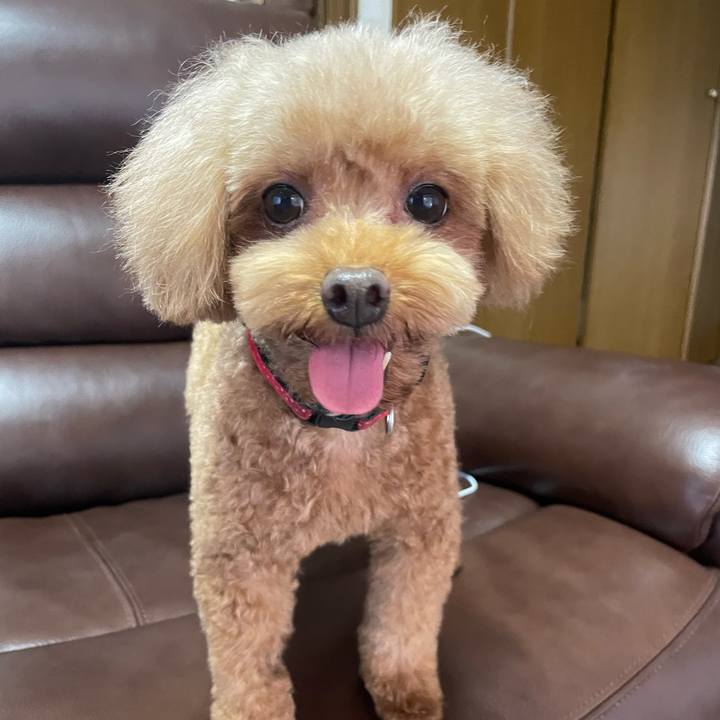 Edfc1b97 2fd7 4ac2 8fd9 d3f87422be97 1664601425515