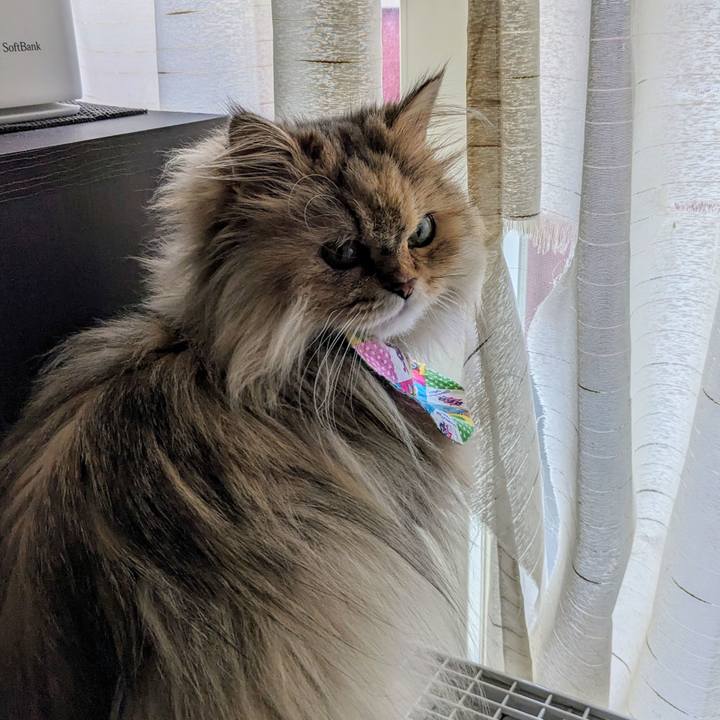 Edfc4d94 36cf 4eda 9874 68745f7d8264 1712101645611