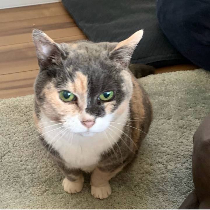 Edfc51cb daf3 4436 b1f0 424761d9be75 1750524416269