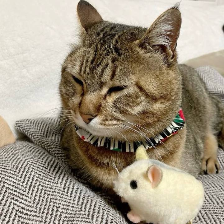 Edfc599d 4cb3 4750 938b 9a2a433f5e9a 1769298421424