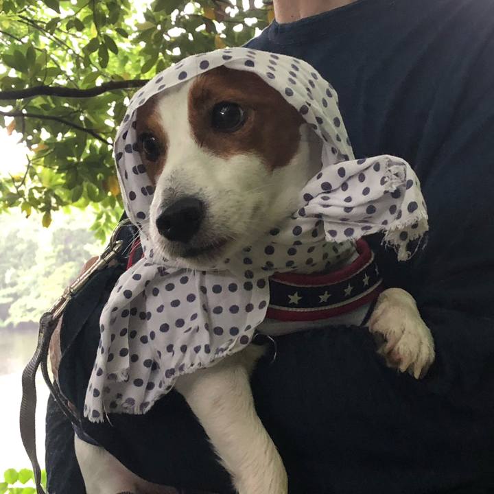 Edfc8497 8d4b 4a7a b90b 2b595c5d72e2 1623550169452