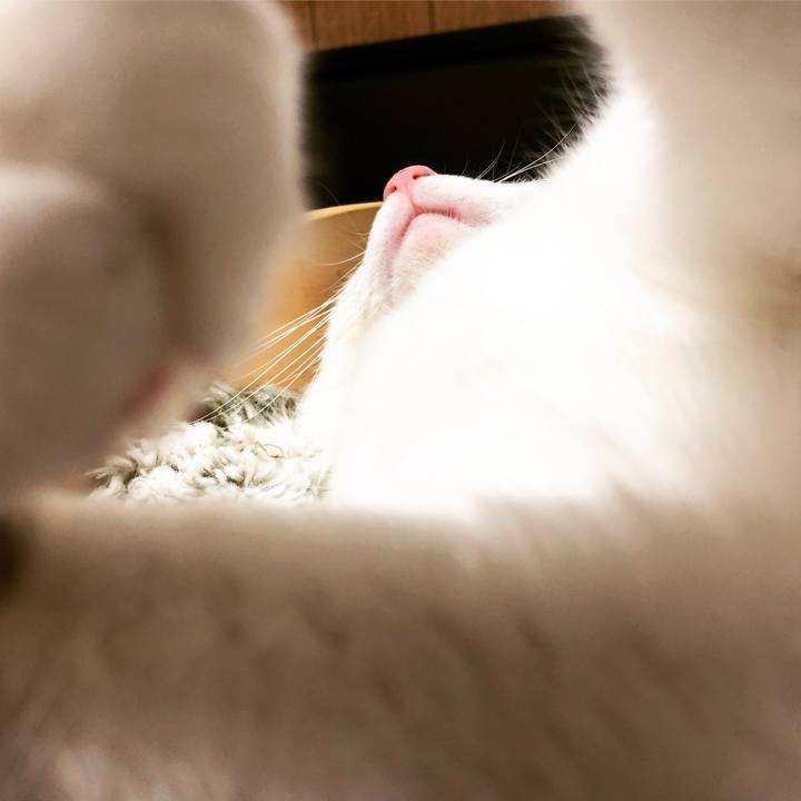 Edfc946b 36ac 4f03 bd3c fdb0f1099b49 1553294064813