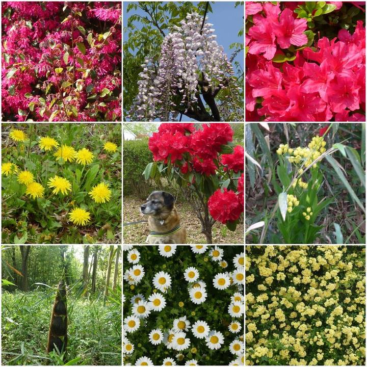 Edfcb2f7 d608 4162 adbf ade9697bc84a 1581747256488