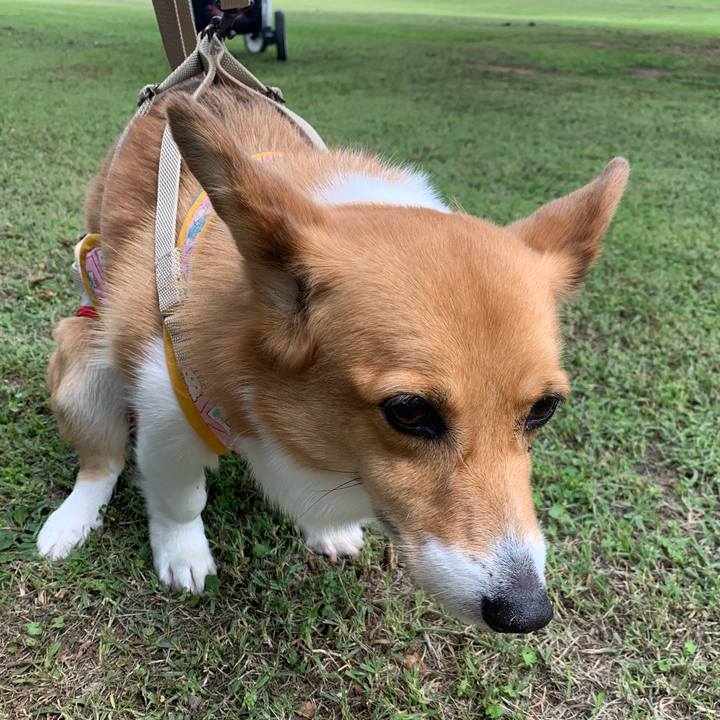 Edfccf8f 3f5b 4f5e 8c63 d697dfddf7db 1624325776544