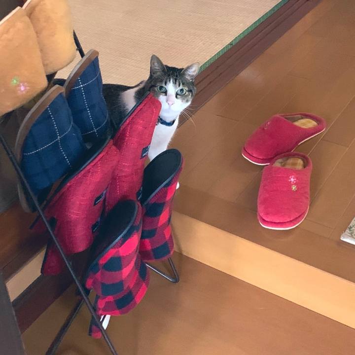 Edfcd033 2cf1 4160 83ca cb883785920e 1585305629081