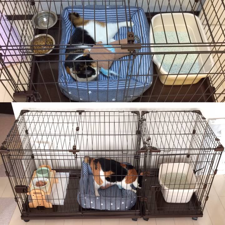 Edfd123e addc 40bc bca2 7a2377910f1b 1580650046962