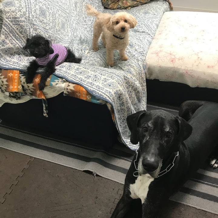 Edfd32d6 6966 4e9c a327 5dbe63e2612b 1526425122130