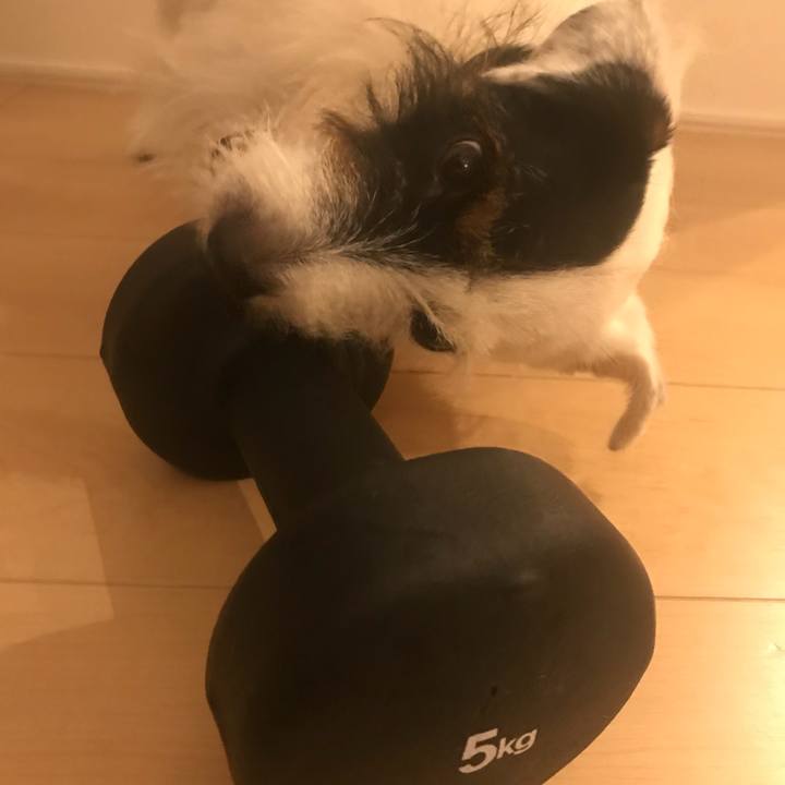 Edfd9f2f c547 42b2 829a 9e746d769bd8 1537270763673