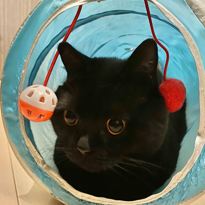 Edfdab6b 1768 4a8f 95f3 476051dfa947 1640422182966