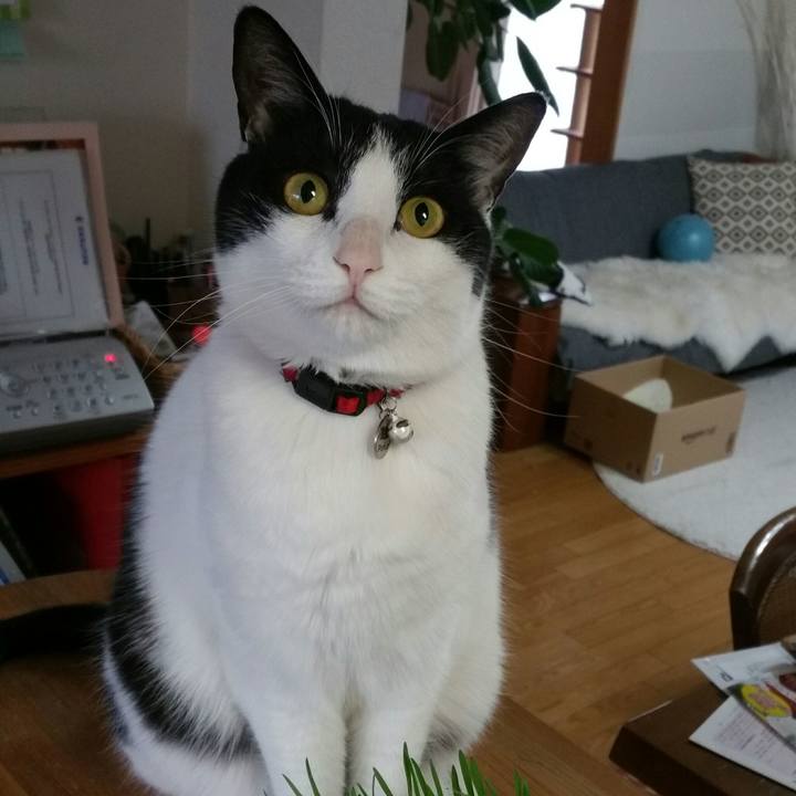 Edfdd3e0 de2e 43f3 9158 4d0051d76154 1524094138532