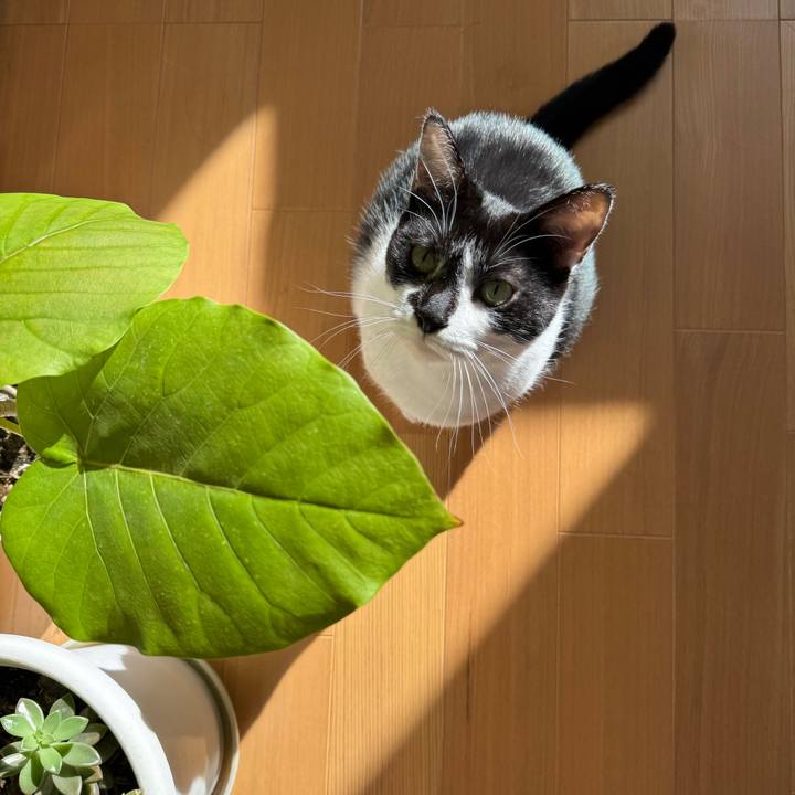 Edfe3d23 7e95 4456 b225 d62f262d593e 1762567921335