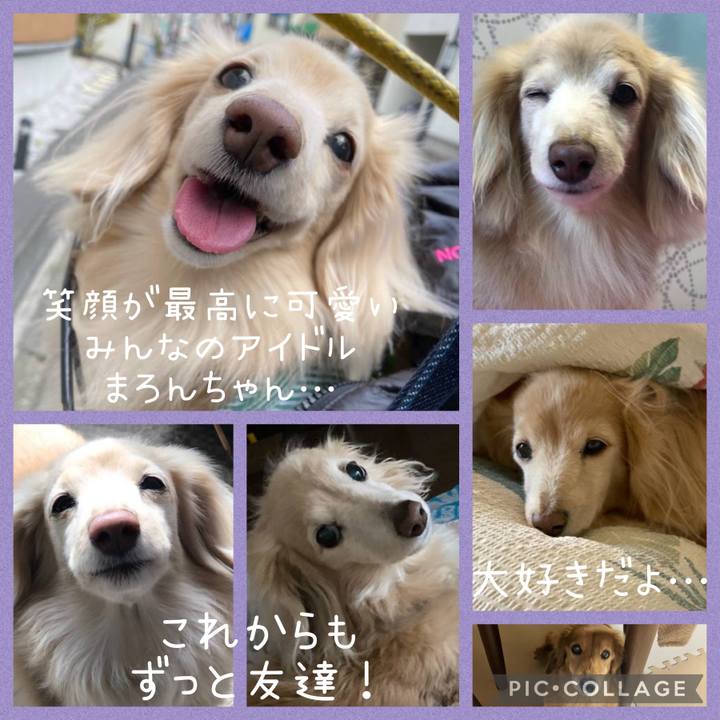 Edfe428b 8aa7 4f62 bfd8 12d5acc088bc 1653116410967