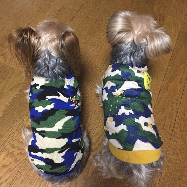 Edfe864d 7958 487e b784 c6590dd129be 1539428928534