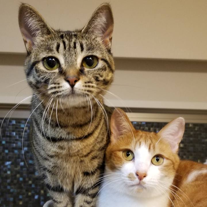 Edfe8a75 6c10 49e3 85c9 64ccf604ea4a 1568971832969