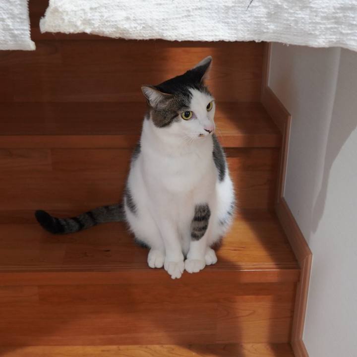 Edfe95bc 6fe3 4a5f 854f 62f4e9f5e352 1583983395834