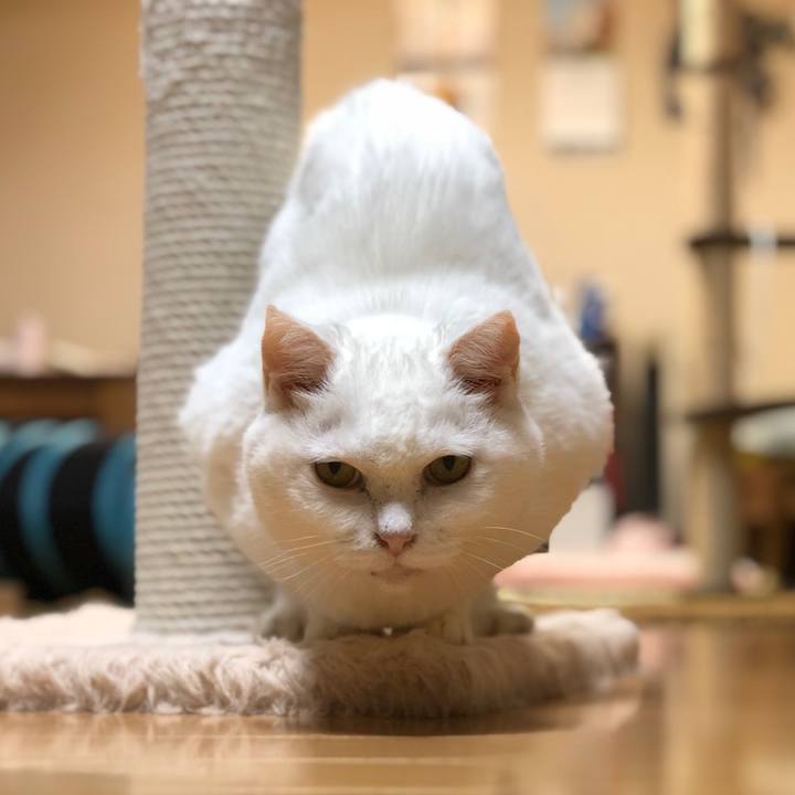 Edfe97e3 fb5e 4482 b647 481ce5af2a61 1567596880591