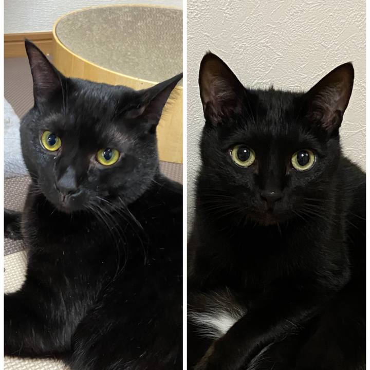 Edfeb4fe 1b64 484c 9187 494d084744fc 1697365896618